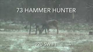 Texas Snow Buck • 220 Swift • 73 Hammer Hunter [upl. by Enelrats]