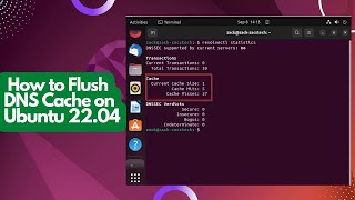 How to Flush DNS Cache on Ubuntu 2204 LTS [upl. by Ajani]