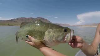 Lake Mead South Cove fishing [upl. by Marylou]