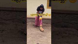 കടിയോടു കടി 😖love trendingviralvideodog mallusvlogshortvideosongviralmallu shorts short [upl. by Peggy]