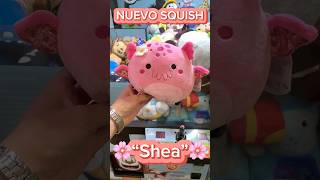 Así ganamos NUEVO squish Shea🌸 maquinadepeluches squishmallows muñelocos arcade clawmachine [upl. by Trace817]