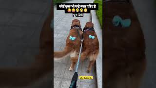 Jara jhoom jhoom comedy comedyshorts viralreels dogcomedy funny funnyvideo [upl. by Ainerbas]