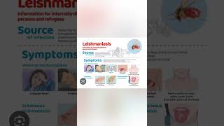 Kalaazar viralvideo publicawareness ministryofhealth education [upl. by Lleryd720]