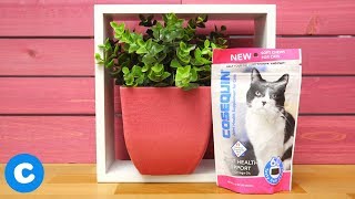 Nutramax Cosequin Cat Supplement  Chewy [upl. by Gentille911]