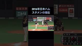 2016年日本ハムスタメンの現在プロ野球 日本ハム 現在 [upl. by Dorothee]