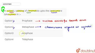 In mitosis splitting of chromatids upto the centromere takes place in –  CLASS 12  CELL CYCL [upl. by Karly]