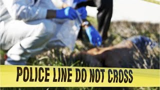 Forensic Science Technicians Career Video [upl. by Adam]