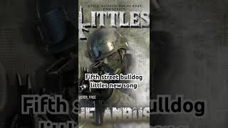 Fifth street bulldog Littles rap fresno explore 559 music hiphop viralvideo fypシ゚viral [upl. by Ajani939]