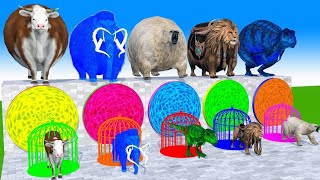 Don’t Choose the Wrong Door And Win With Elephant Mammoth Cow Lion Gorilla Buffalo Wild Animals 2024 [upl. by Ynnahc668]