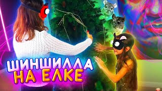 ШИНШИЛЛА На Елке ЧЕЛЛЕНДЖ Наряди Елку ВСЛЕПУЮ  Вики Шоу [upl. by Meihar446]