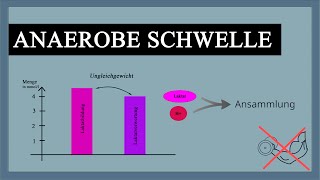 Laktatschwelle  Anaerobe Schwelle einfach erklärt  Laktatstufentest für wen geeignet Laktattest [upl. by Dylane198]