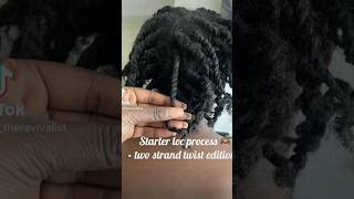 Starter Loc Process  two strand twist [upl. by Enoved231]