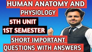 Bpharmacy fifth Unit Human anatomy and Physiology important questions  Bpharma imp questions [upl. by Drape513]