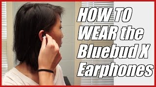 How to Wear Jaybird Bluebudx X Earphones  Demonstration On Getting a Good Fit [upl. by Loraine912]