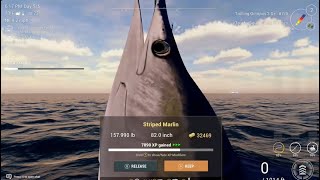 Fishing Planet ocean map striped markings hotspot location viralvideo subscribe gaming fishing [upl. by Levey]