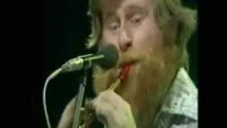 Reels Live  The Dubliners [upl. by Smallman856]