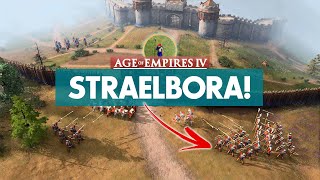 AoE4s NEW Taunts Straelbora included [upl. by Eednim256]