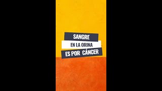 Sangre en la orina es por cáncer  Dr Luis Susaníbar Urólogo y Andrólogo [upl. by Derwon86]