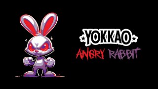 YOKKAO Angry Rabbit Drop Where Muay Thai Tradition Meets Bold New Style 🥊⚡️ [upl. by Wistrup197]