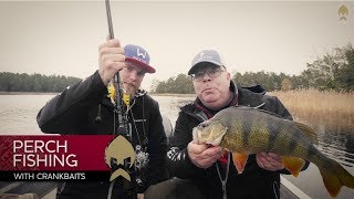 Perch fishing with crankbaits  WestinFishing [upl. by Ykvir]