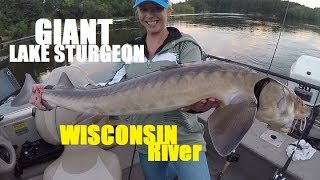 GIANT Lake STURGEON on Wisconsin River  Sturgeon Almost Jumps in the Boat [upl. by Annia940]