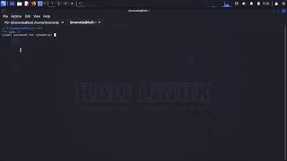 Kali linux error wlan0 wlan1 not showing up in ifconfigiwconfig 2024 [upl. by Elirpa]