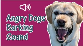 Angry Dog Barking and Growling  Snarling Sound Effect [upl. by Grove]