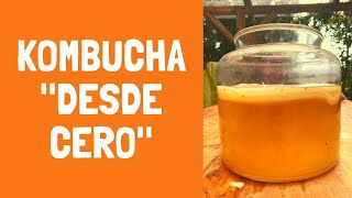 KOMBUCHA DESDE CERO  la guía completa [upl. by Lipski]