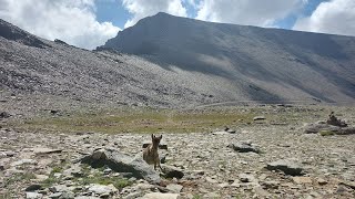 Subida al punto mas alto de la península ibérica Pico Mulhacén [upl. by Gathers]