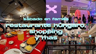 VLOG de SABADO  Comida HUNGARA UNICENTER y más [upl. by Adnolat]