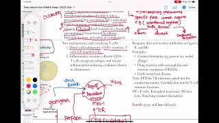 Hypersensitivity type 4 immunology 39  First Aid USMLE Step 1 in UrduHindi [upl. by Allana623]