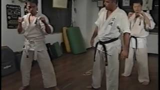 Shidokan Videos 01 [upl. by Yanrahc]