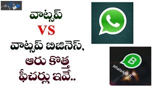 Whatsapp For Business Vs Whatsapp 6 New Features  Telugu Tech Guru [upl. by Hannis]