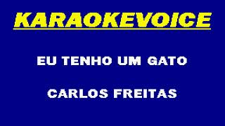 TENHO UM GATO Carlos Freitas Karaoke [upl. by O'Dell]