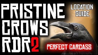 HOW TO FIND PRISTINE CROWS AND GET PERFECT CARCASS IN RED DEAD REDEMPTION 2  LOCATION GUIDE [upl. by Attemaj]