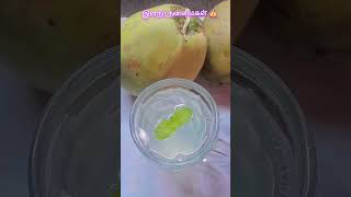 quotஇளநீர்elaneer benifits♡🍸👍 tamilhealthtips tamilfood coconut shortstamil shortsvideo [upl. by Liatrice]