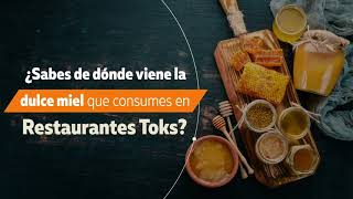 ¿Sabes de dónde viene la miel de Restaurantes Toks [upl. by Gay413]