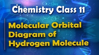 Molecular Orbital Diagram of Hydrogen Molecule  Nature of Chemical Bond  Chemistry Class 11 [upl. by Vanden]