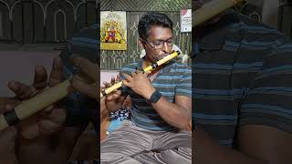 Flute sankarabharanam pianosong guitar pianotune piano [upl. by Creighton]