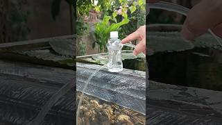 Water pump without electricity from plastic bottles [upl. by Hovey]