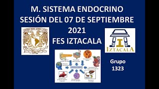 M Sistema Endocrino Sesión del Martes 07 de Septiembre del 2021 [upl. by Irrok143]