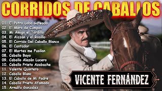 🔥 MIX VICENTE FERNANDEZ 🔥 CORRIDOS DE CABALLOS 🏇 🐎 🐴 30 EXITOS MEJORES CANCIONES MIX 🔥 [upl. by Geldens]