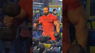 Behrooz Tabani Ifbb Pro  Behrouz Tabani  Arm Workout  Mr Olympia 2023  Road to Olympia  Update [upl. by Ysnap]