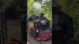 Der Rasender Roland von Rügen Die Rügensche Bäder Bahn Dampflok shorts Eisenbahn [upl. by Moncear]