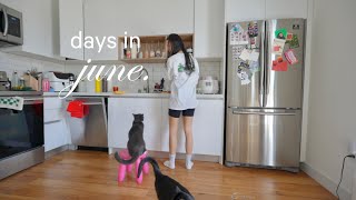 Casual week in LA cooking korean food wedding planning catching up  vlog [upl. by Jacklyn]