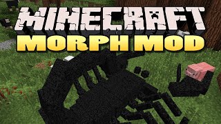 Como baixar e instalar mods no Minecraft Morph  1710 [upl. by Shirk]