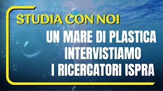 Gocce di civiltà in un mare di plastica INTERVISTE [upl. by Drahnreb]