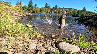 Cowlitz River Bank Fishing [upl. by Kralc553]