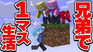 1マスしかない世界で兄弟と1匹で生活 2【マイクラまいくら】 [upl. by Cavan]