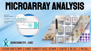 Microarray Analysis [upl. by Anidem]